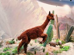 -武汉园博园(武汉自然博物馆)