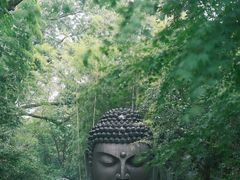 -杭州植物园