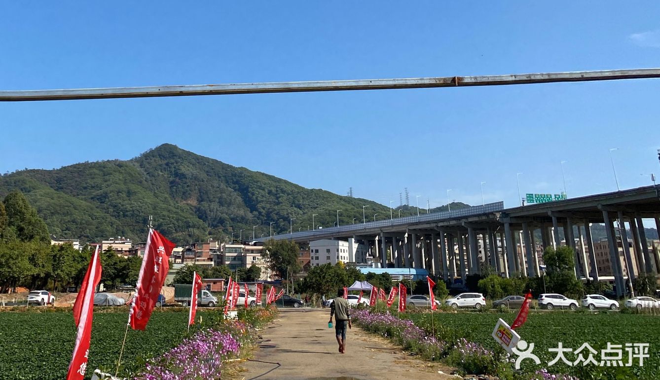 草莓季🍓遛娃圣地🍓