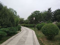 -鹦鹉寺公园