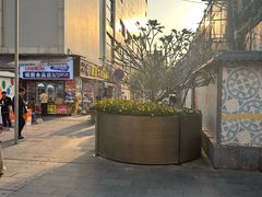 -南越王博物院(王宫展区)