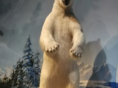 -陕西自然博物馆