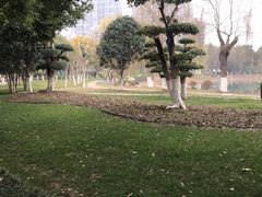 -堤角公园