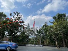 -亚龙湾热带天堂森林公园