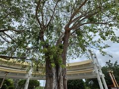 -三亚南山文化旅游区