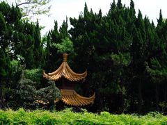 -嘉定紫藤园