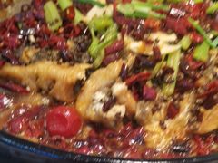 -老板恋上鱼(印象城店)