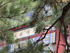 -潭柘寺景区