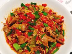 -壹盏灯(惠农店)