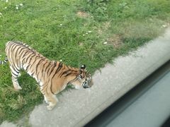 -西安秦岭野生动物园