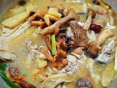 -抚仙湖野生菌石锅鱼(腾冲总店)
