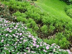 -荔湾湖公园