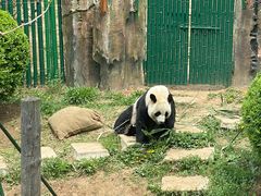 -大连森林动物园