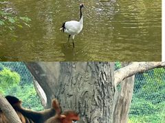 -杭州野生动物世界