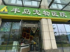 -半岛宠物医院24小时·内窥镜·牙科·碎石中心(府城大道店)