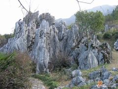 -千岛湖石林