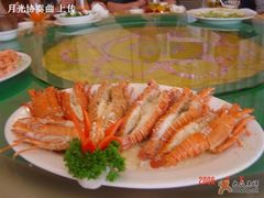 不错的小青龙-东郊椰林平价海鲜舫(大东海店)