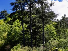 -玉渡山风景区-售票处