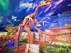-诸城市恐龙博物馆