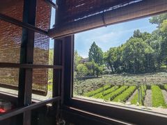 -野蔓果·山野菜(西湖景区·龙井茶田店)