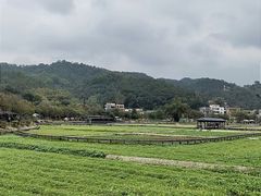 -红山村