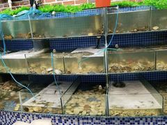 水产区-蟹谢蒸鲜自助餐厅