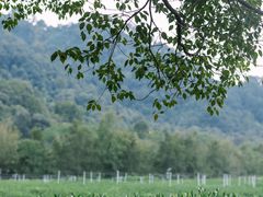 -中国茶叶博物馆(双峰馆区)