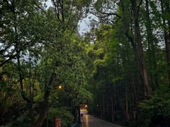 -峨眉山报国寺