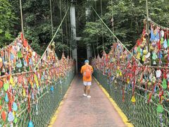-西双版纳原始森林公园
