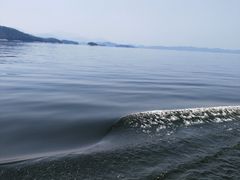 -千岛湖城中湖游船码头