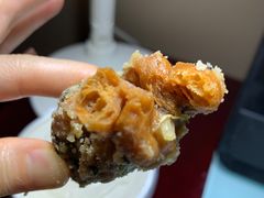 蒜蓉枝-海丝金凤(金鱼店)