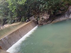 -九龙江国家森林公园