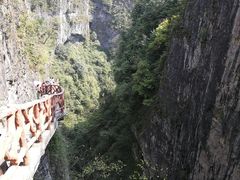 -鹿院坪生态旅游景区
