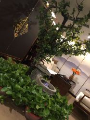 -至爱至信新中式SPA疗愈会所