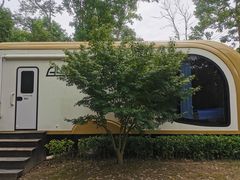 -上海海湾国家森林公园