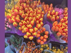 -循礼门鲜花花市(武汉循礼门店)