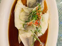 -十二月·宁夏盐池滩羊肉火锅