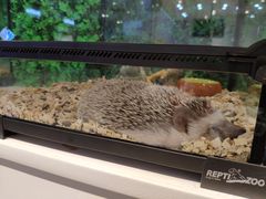 -狗道宠物(常熟印象城店)