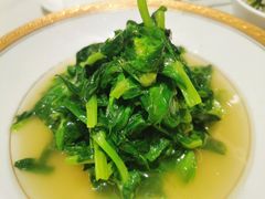 清炒豆苗-蝶园·装修中(BFC外滩金融中心店)