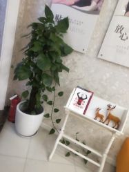 -Cocodemer女性健康·产后恢复(天一广场店)