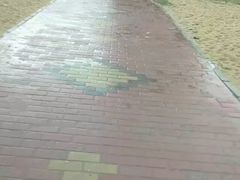 -玫瑰海岸文化旅游度假区