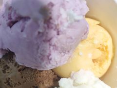 -邵汇大虾(泉园一路店)