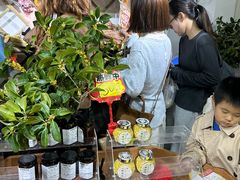 -苏州市吴中区光福窑上花果蜜饯厂