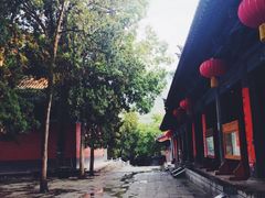 景点-少林寺景区