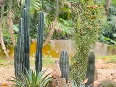 -广州长隆野生动物世界