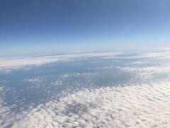 -中免(澳门机场免税店)