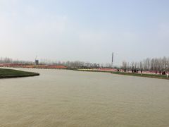 iphone_upload_pic-荷兰花海