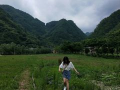 -秦岭风景区