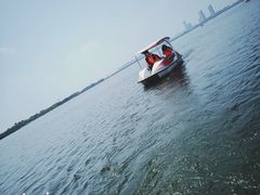 -瑶湖郊野森林公园