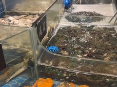 -汉阳廷自助烤肉·火锅(万丰海岸城店)